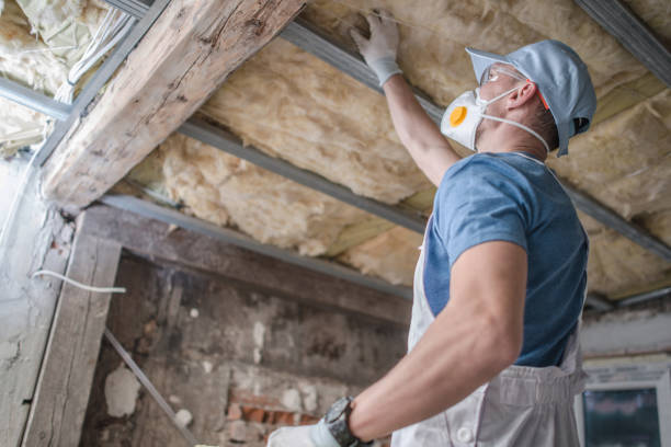 Best Insulation Removal  in Arnold, PA