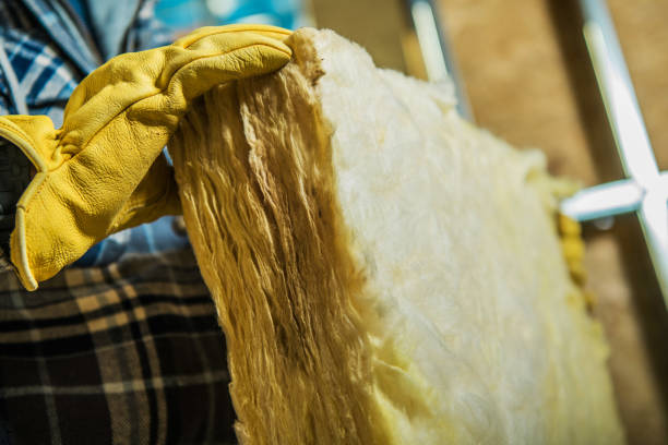 Insulation Replacement Services in Arnold, PA