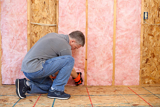 Best Professional Insulation Contractor  in Arnold, PA
